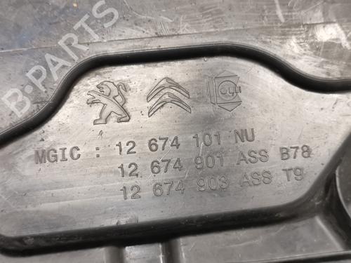 AdBlue tank PEUGEOT 308 SW II (LC_, LJ_, LR_, LX_, L4_)  | BP29753908M85