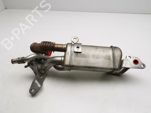 Egr RENAULT CLIO II (BB_, CB_)  | BP28984994M69 