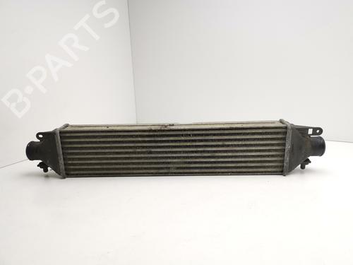 Used Intercooler FIAT DOBLO Platform/Chassis (263_) 1.3 D Multijet (90 hp) 28999982