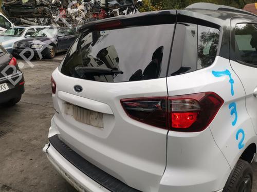 Tailgate FORD ECONOLINE Van  | BP30000276C6