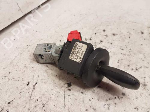 Used Electronic module RENAULT CLIO III (BR0/1, CR0/1) [2005-2014]  28982607