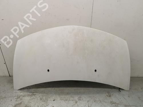 Used Hood RENAULT CLIO III (BR0/1, CR0/1) 1.5 dCi (75 hp) 28990969