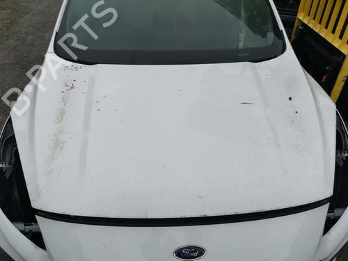 Used Hood FORD KUGA III (DFK) [2019-2025]  30687887