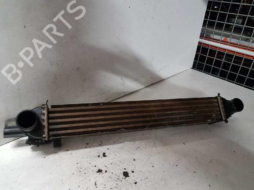 Intercooler FIAT FIORINO Box Body/MPV (225_) 1.3 D Multijet (225BXD1A, 225BXB1A, 225BXB11) | BP29000067M30