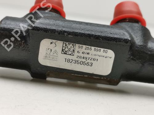 Injection rail FORD FOCUS IV (HN) 1.5 EcoBlue | BP39441500M98 - Image 2