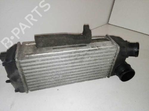 Ladeluftkühler für FORD FIESTA VI (CB1, CCN) [2008-2025]  29000080