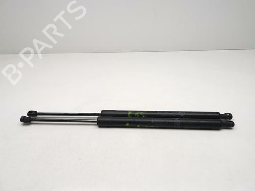 Used Tailgate lift support FORD TRANSIT CONNECT MPV [2013-2026]  32866130