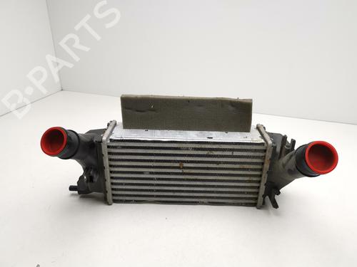 Used Intercooler FORD ECONOLINE Van [2001-2002]  31020941