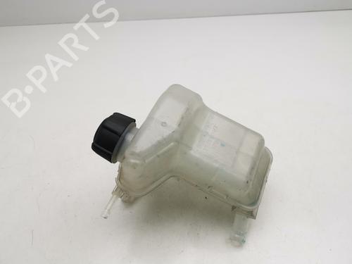 Used Expansion tank NISSAN QASHQAI II (J11, J11_) [2013-2025]  29376348