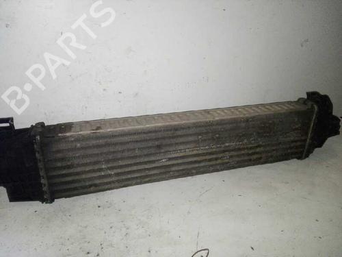 Intercooler FORD FOCUS II (DA_, HCP, DP) | BP29000086M30