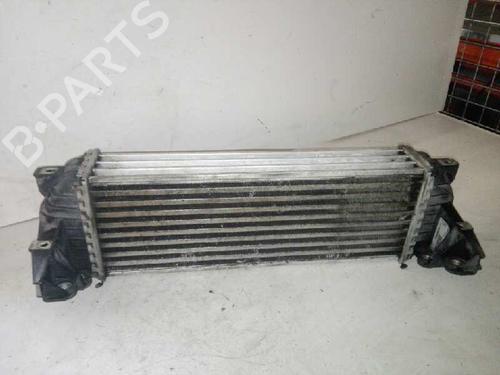 Used Intercooler FORD TOURNEO CONNECT 1.8 TDCi (90 hp) 29000075