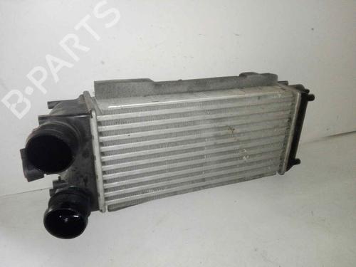 Intercooler FORD FIESTA VI (CB1, CCN) 1.6 TDCi (95 hp) 29000082