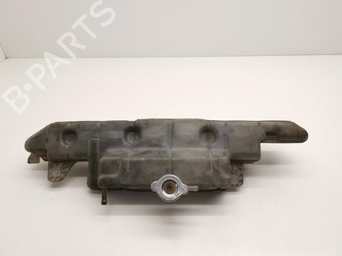 Used Expansion tank RENAULT LAGUNA III (BT0/1) 2.0 dCi (BT07, BT0J, BT14, BT1A, BT1S) (131 hp) 28992343