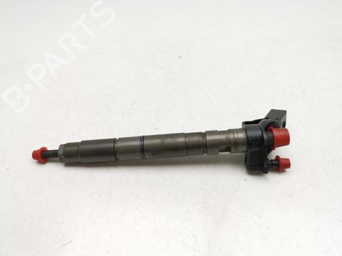 Injector AUDI A4 B7 (8EC) 3.0 TDI quattro (204 hp) 29914834