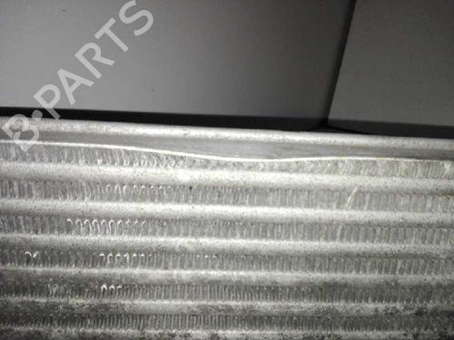 Intercooler FIAT BRAVO II (198_) 1.6 D Multijet (198AXH1B) | BP29000066M30 