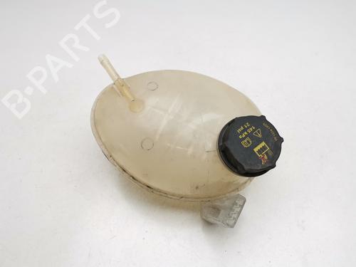 Ekpansionstank Ekpansionstank FORD PUMA (J2K, CF7) 1.0 EcoBoost mHEV (125 hp) 33798845 33798845