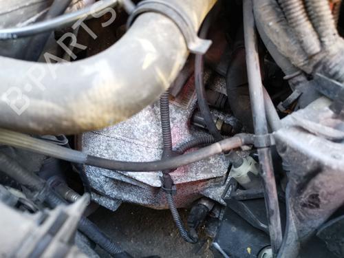 Used Gearbox FORD FIESTA VI (CB1, CCN) [2008-2025]  28996685