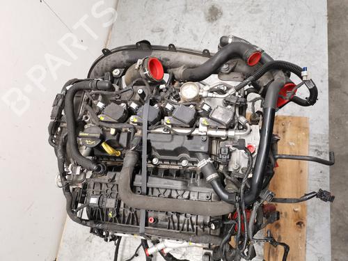 Motor FORD KUGA III (DFK)  | BP30568633M1 
