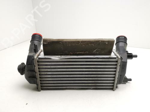 Intercooler FORD ECONOLINE Van | BP31020941M30
