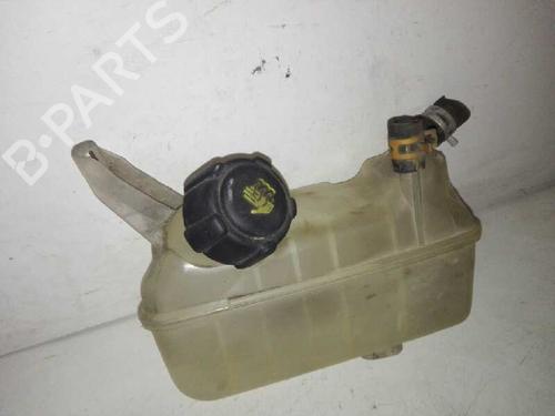 Used Expansion tank RENAULT MEGANE II (BM0/1_, CM0/1_) 1.5 dCi (BM1E, CM1E) (106 hp) 28978046