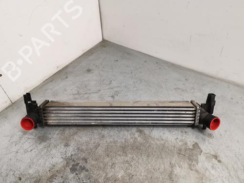 Used Intercooler SEAT IBIZA IV ST (6J8, 6P8) [2010-2016]  30874177