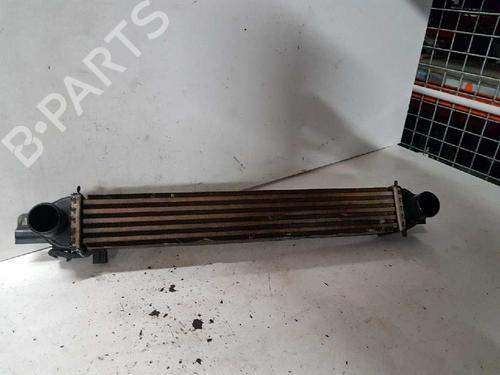 Used Intercooler FIAT FIORINO Box Body/MPV (225_) 1.3 D Multijet (225BXD1A, 225BXB1A, 225BXB11) (75 hp) 29000067