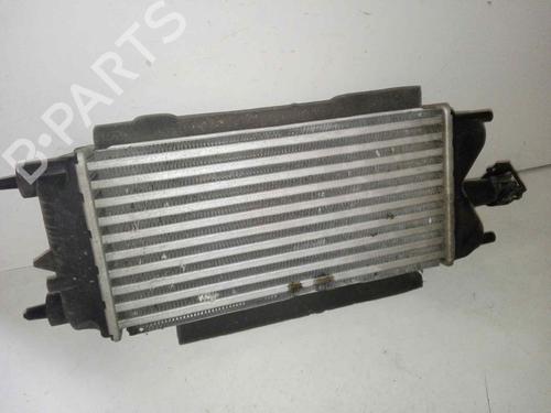 Intercooler FORD FIESTA VI (CB1, CCN) 1.6 TDCi | BP29000082M30 