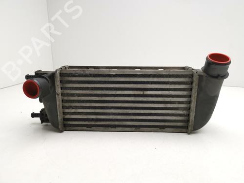 Used Intercooler FORD KA (RU8) 1.3 TDCi (75 hp) 29000403