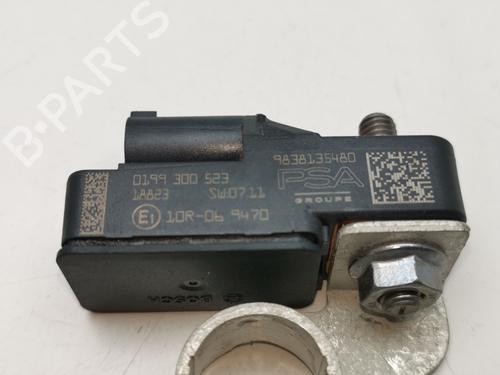 Other PEUGEOT PARTNER Box Body/MPV (K9)  | BP29289482O1 