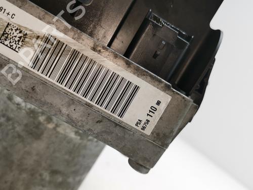 Steering pump PEUGEOT 3008 I MPV (0U_)  | BP30000251M99