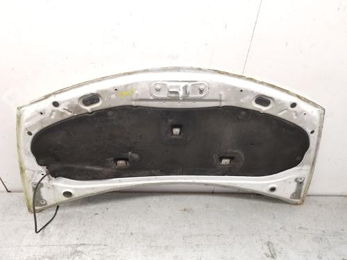Hood RENAULT CLIO III (BR0/1, CR0/1) 1.5 dCi | BP28990969C1 