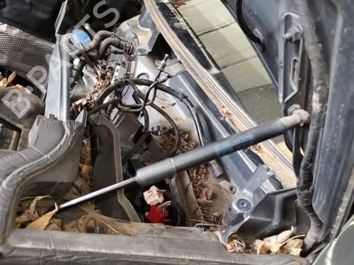 Used Hood lift support AUDI Q5 (8RB) [2008-2019]  28979735