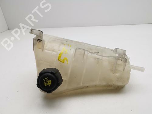 Used Expansion tank RENAULT KANGOO / GRAND KANGOO II (KW0/1_) 1.5 dCi 90 (KW05, KW08, KW0G, KW11) (90 hp) 28978250