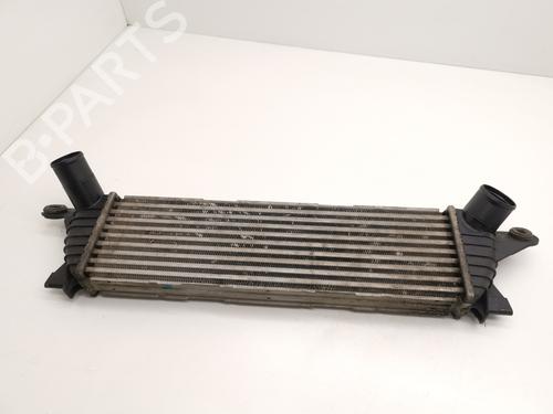 Used Intercooler RENAULT KANGOO (KC0/1_) 1.9 dCi 4x4 (KC0V) (80 hp) 29000003