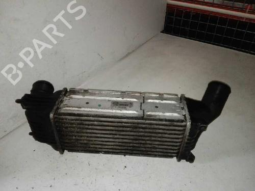 Intercooler PEUGEOT 407 (6D_) | BP29000049M30