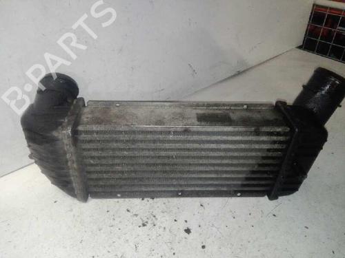 Intercooler PEUGEOT 307 Break (3E) | BP29000053M30