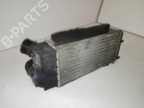 Intercooler FORD FIESTA VI (CB1, CCN) | BP29000080M30
