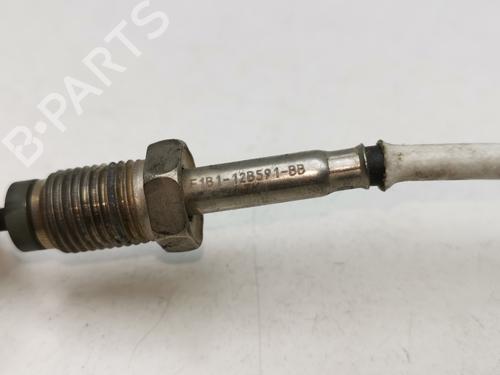 Electronic sensor FORD FIESTA VI (CB1, CCN) 1.5 TDCi | BP39445408M84 - Image 3