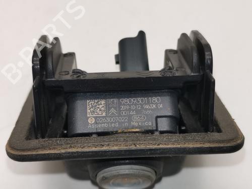 Elektronisk modul OPEL CROSSLAND X / CROSSLAND (P17, P2QO) 1.5 Turbo D (75) | BP28987894M83 