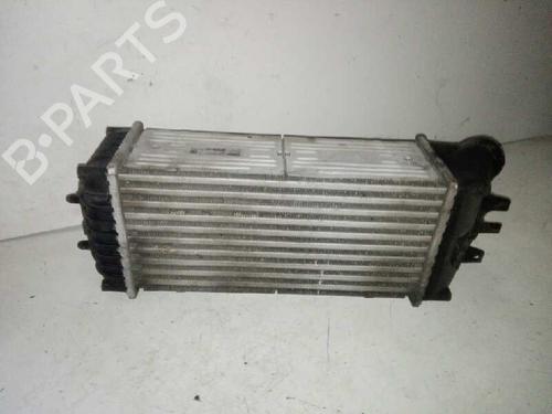 Intercooler CITROËN BERLINGO / BERLINGO FIRST MPV (MF_, GJK_, GFK_) 1.6 HDI 75 (MF9HW, GJ9HWC, GF9HWC, GN9HWC) | BP29000060M30