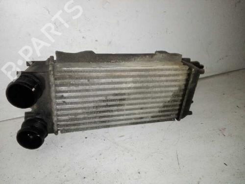 Intercooler FORD FIESTA VI (CB1, CCN) 1.6 TDCi (95 hp) 29000073