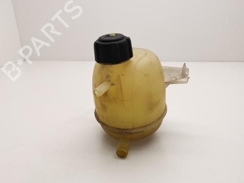 Used Expansion tank RENAULT KANGOO (KC0/1_) 1.9 dCi 4x4 (KC0V) (80 hp) 28978062