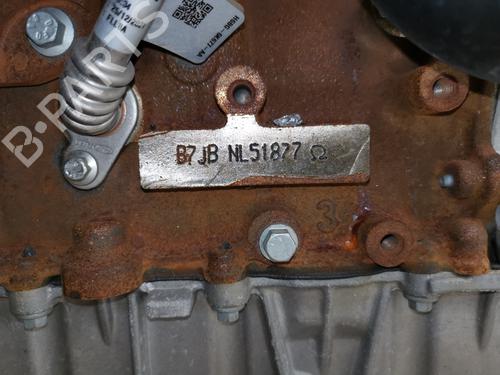 Engine FORD PUMA (J2K, CF7)  | BP31755793M1 