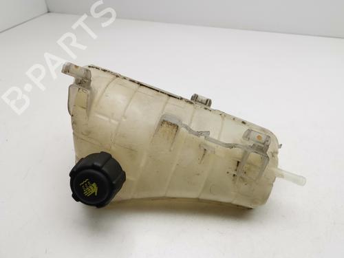 Used Expansion tank RENAULT KANGOO / GRAND KANGOO II (KW0/1_) 1.5 dCi 90 (KW05, KW08, KW0G, KW11) (90 hp) 29731563