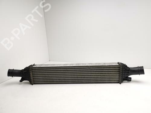 Used Intercooler AUDI Q5 (8RB) 2.0 TDI quattro (177 hp) 29000078