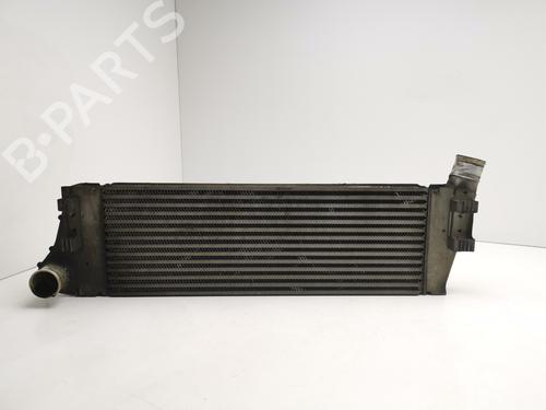 Intercooler RENAULT MEGANE II (BM0/1_, CM0/1_) 1.5 dCi (BM1E, CM1E) | BP29000089M30