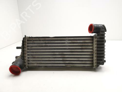 Used Intercooler FORD TRANSIT CONNECT MPV [2013-2025]  28999973