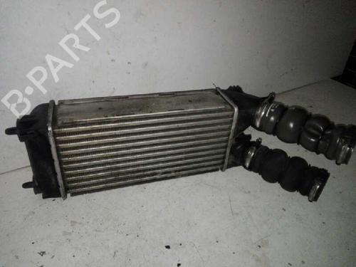 Intercooler PEUGEOT PARTNER Box Body/MPV 1.6 HDi (109 hp) 29000041