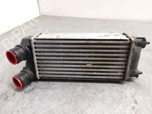Used Intercooler Intercooler DS DS 4 / DS 4 CROSSBACK (NX_) [2015-2018] 33620501 33620501