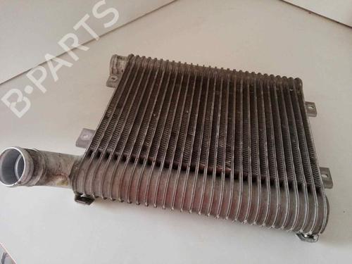 Intercooler HYUNDAI SANTA FÉ I (SM) [2000-2006]  29000022